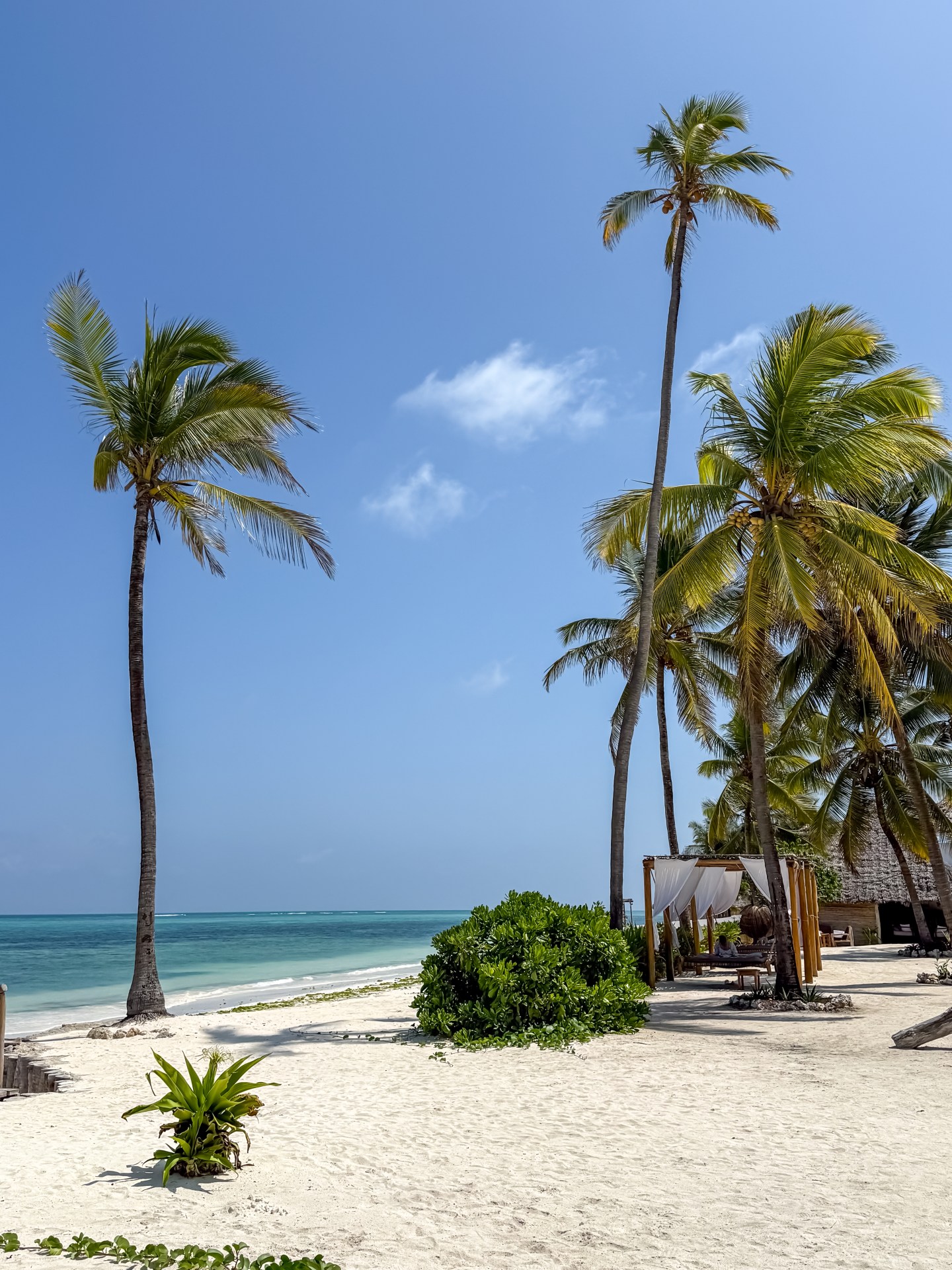 Séjour à Zanzibar avec safari à Mikumi